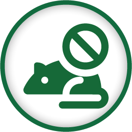 Rodentisit